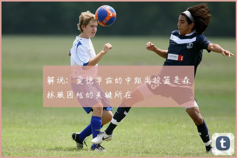 解说：爱德华兹的中距离投篮是森林狼团结的关键所在